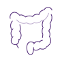 An icon image of the gastrointestinal tract