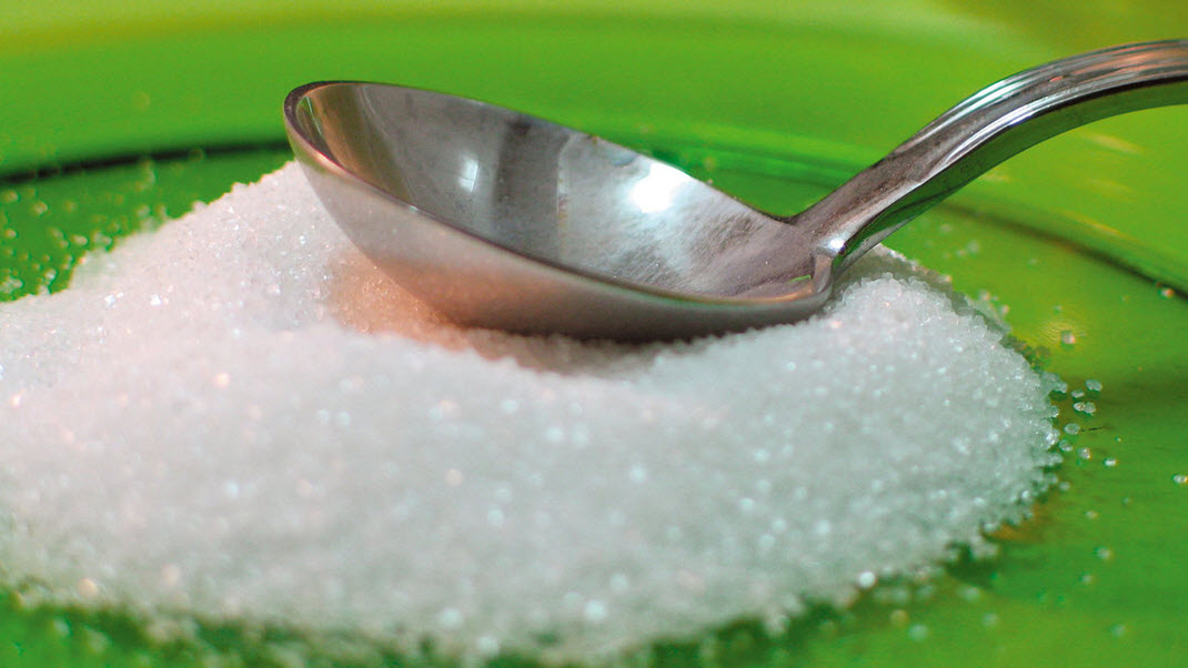 Artificial Sweeteners, Explained
