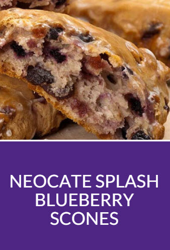 Neocate Splash Blueberry Scones Recipe