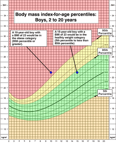 16 Year Old Weight Chart