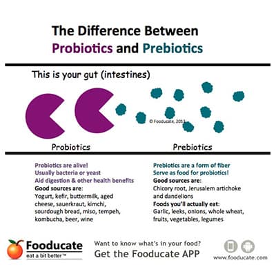 Probiotics versus Prebiotics 